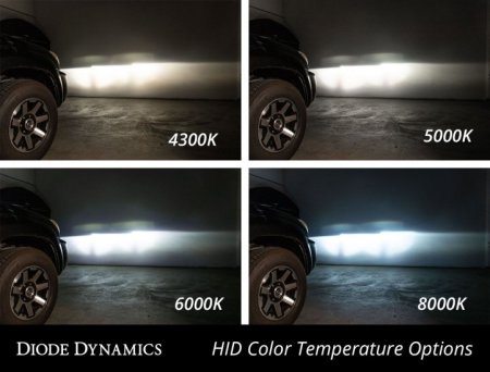 (image for) Diode Dynamics Genesis Coupe OEM HID Replacement Bulb 2010 – 2016