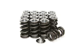 GSC Beehive Genesis Coupe 2.0T Valve Springs 2010 – 2014