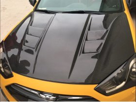 ABS Dynamics Genesis Coupe H2 Carbon Fiber Hood 2010 - 2012