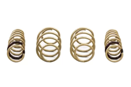 (image for) ARK Performance KIA K5 GT-S Lowering Springs 2021 – 2023